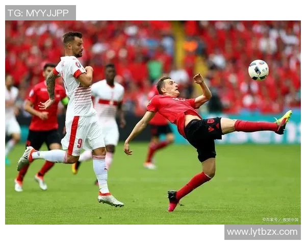 冰岛与捷克足球比赛比分实时查询及赛况分析 冰岛与捷克足球比赛比分实时查询及赛况分析